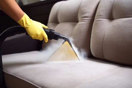 professional sofa cleaner steam cleaning a sofa