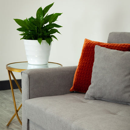 Viva Sofa Bed Grey 3 Seater
