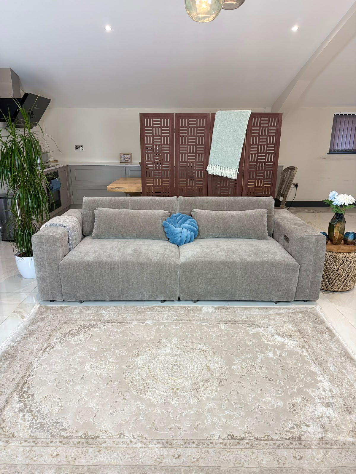 Sycamore Sofabed Beige Electric